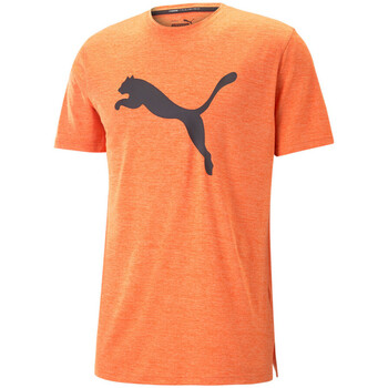 Vêtements Homme T-shirts manches courtes Puma 522352-23 Orange