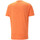 Vêtements Homme T-shirts & Polos Puma 522352-23 Orange