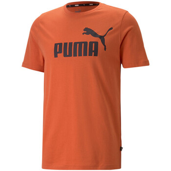 Vêtements Homme T-shirts manches courtes Puma 586667-94 Orange