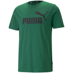 Vêtements Homme T-shirts manches courtes Puma 586667-46 Vert