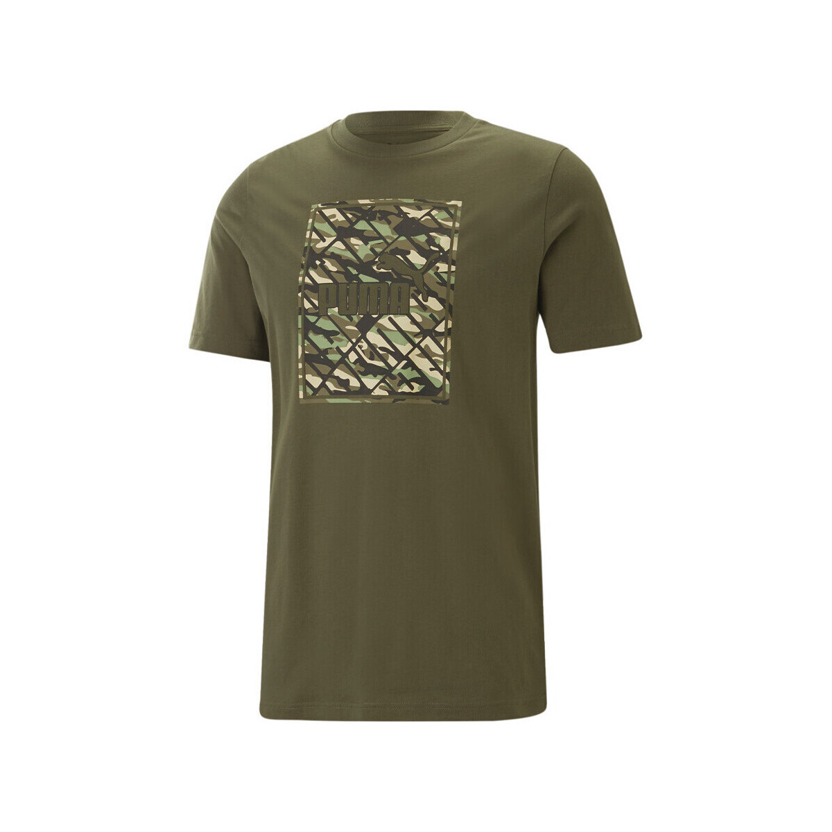 Vêtements Homme T-shirts & Polos Puma 675179-73 Vert