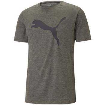 Vêtements Homme T-shirts manches courtes Puma 522352-73 Vert
