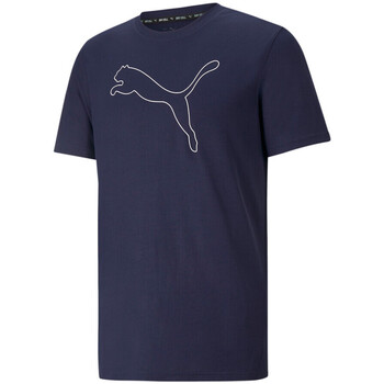 Vêtements Homme T-shirts & Polos Puma 520315-06 Bleu