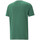 Vêtements Homme T-shirts manches courtes Puma 674486-37 Vert