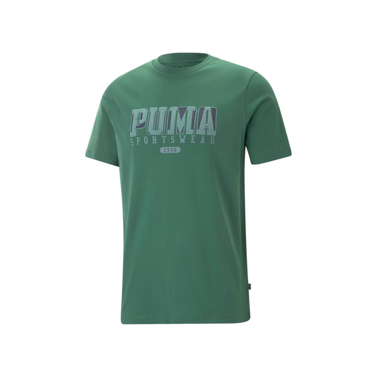 Vêtements Homme T-shirts & Polos Puma 674486-37 Vert