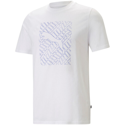 Vêtements Homme T-shirts & Polos Puma 674474-02 Blanc