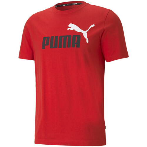 Vêtements Homme T-shirts manches courtes Puma 586759-11 Rouge