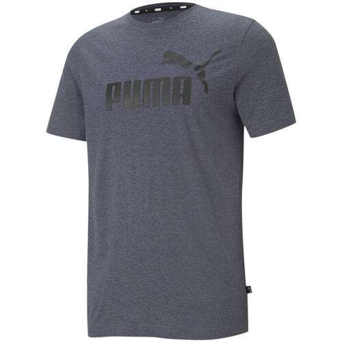 Vêtements Homme T-shirts & Polos Puma 586736-06 Bleu