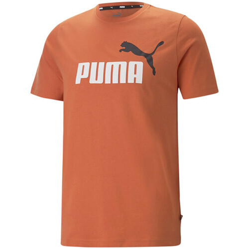 Vêtements Homme T-shirts & Polos Puma 586759-94 Orange