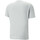 Vêtements Homme T-shirts & Polos Puma 673378-04 Gris
