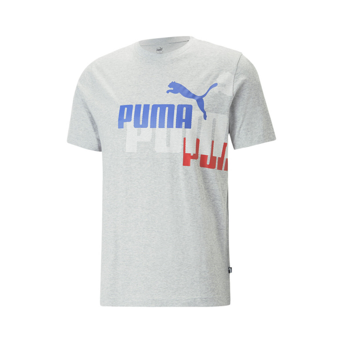 Vêtements Homme T-shirts & Polos Puma 673378-04 Gris