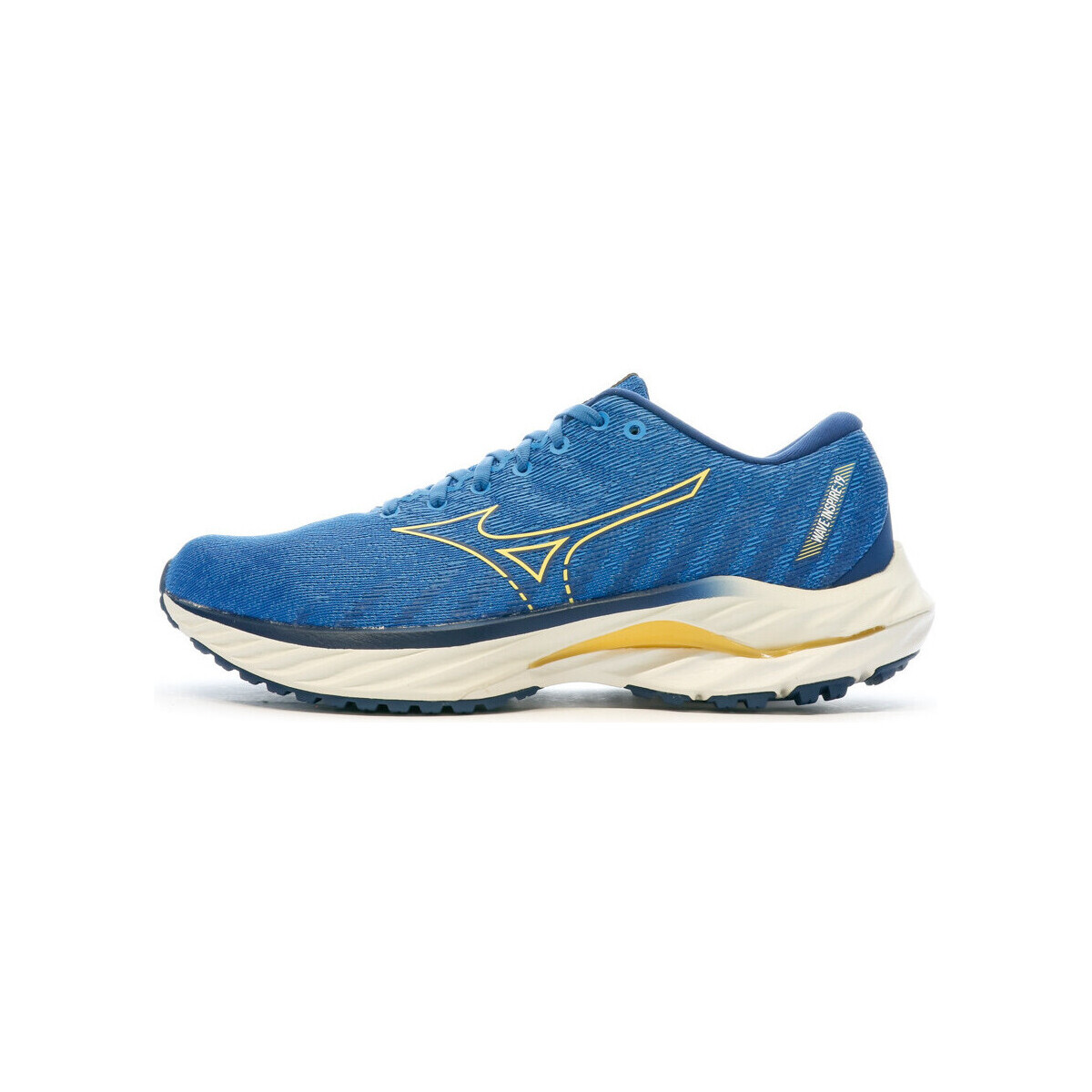 Chaussures Homme Running / trail Mizuno J1GC2344-06 Bleu