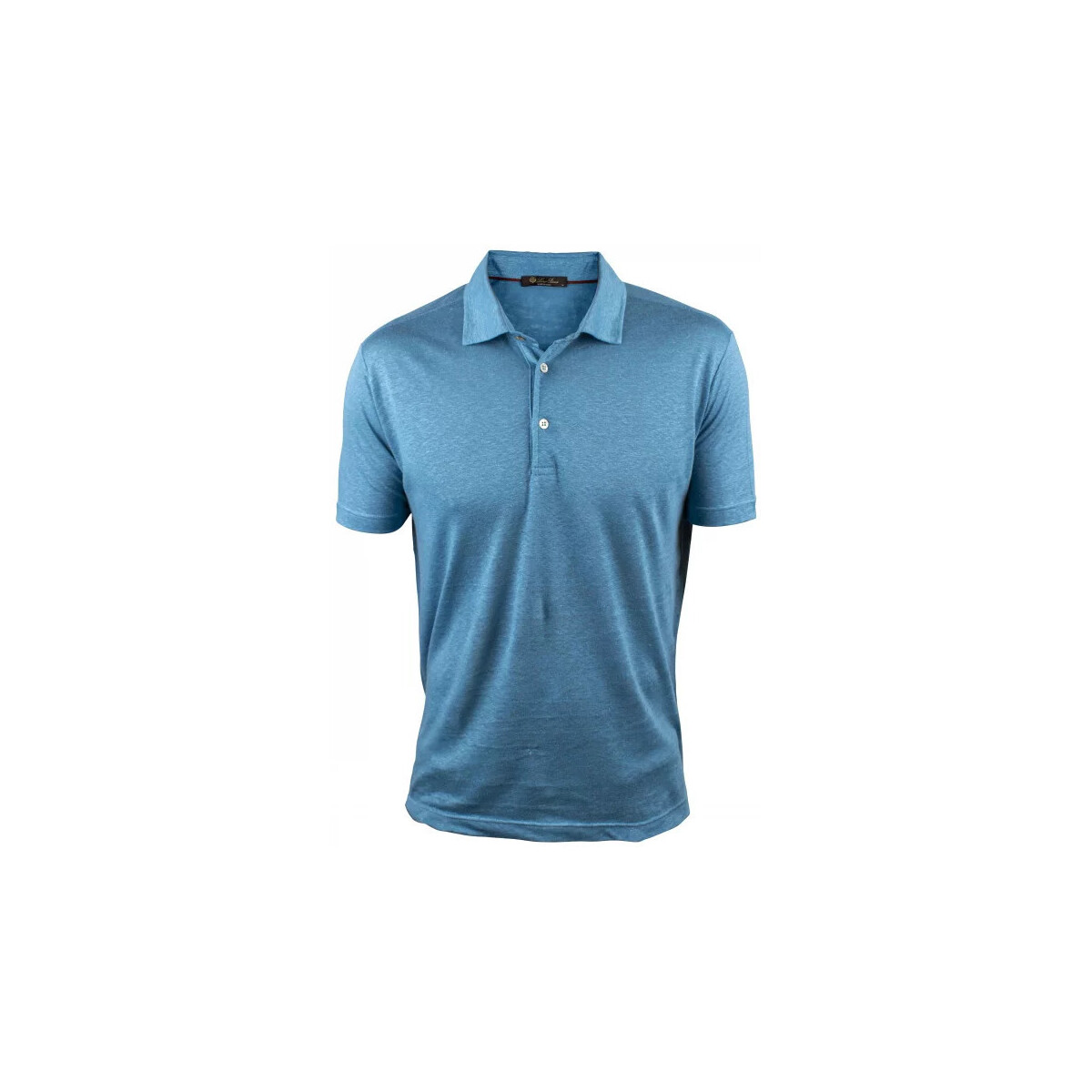 Vêtements Homme T-shirts & Polos Loro Piana Polo Bleu