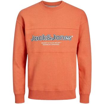 Vêtements Garçon Sweats Jack & Jones  Orange