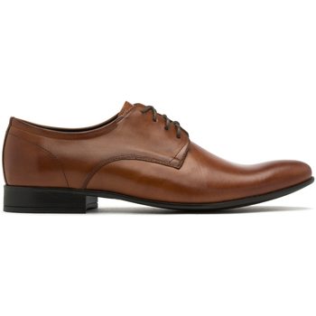 Chaussures Derbies & Richelieu Ryłko IPAY05__ _1BP Marron