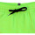 Vêtements Homme Maillots / Shorts de bain Volcom -LIDO TRUNKS A2511901 Vert