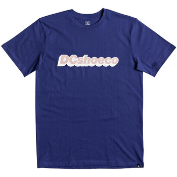 Vêtements Homme T-shirts & Polos DC Shoes Dc-ARTIFUNCTION EDYZT03743 Bleu