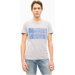 Vêtements Homme T-shirts & Polos Calvin Klein Jeans -LOGO BOX J30J312163 Gris