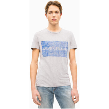 Vêtements Homme T-shirts & Polos Calvin coin Klein Jeans -LOGO BOX J30J312163 Gris