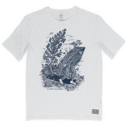 Vêtements Homme T-shirts & Polos Element -FIND WATER Q1SSI1 ELF9 Blanc