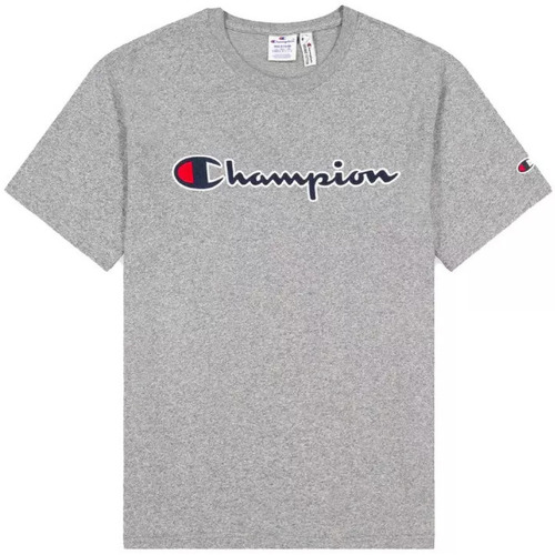 Vêtements Homme T-shirts & Polos Champion CREWNECK Gris