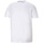Vêtements Homme T-shirts & Polos Puma BMW M MOTORSPORT LOGO Blanc