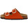Chaussures Femme Sandales et Nu-pieds Scholl NOELLE LEATHER Orange