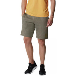 Vêtements Homme Shorts / Bermudas Columbia LOGO FLEECE Vert