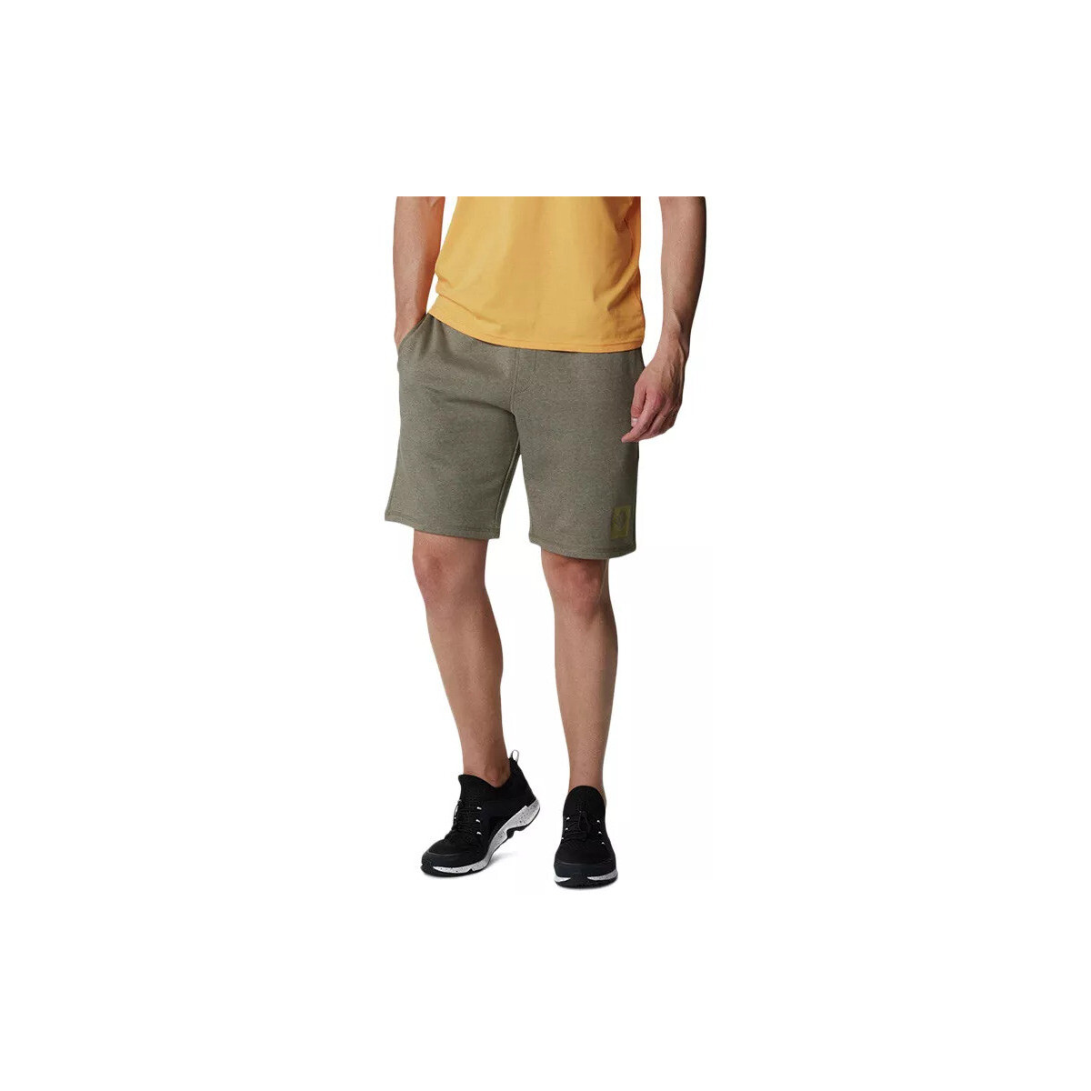 Vêtements Homme Shorts / Bermudas Columbia LOGO FLEECE Vert