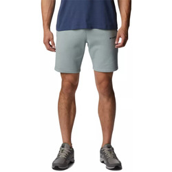 Vêtements Homme Shorts / Bermudas Columbia CSC BASIC LOGO Bleu