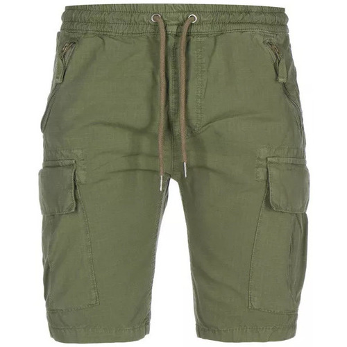 Vêtements Homme Shorts moyen / Bermudas Alpha RIPSTOP JOGGER Vert