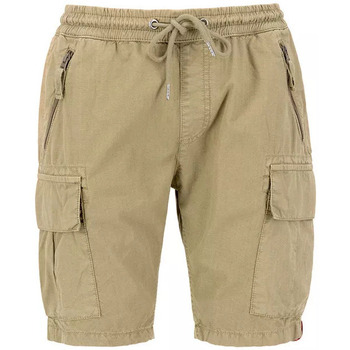 Vêtements Homme Shorts moyen / Bermudas Alpha RIPSTOP JOGGER Beige