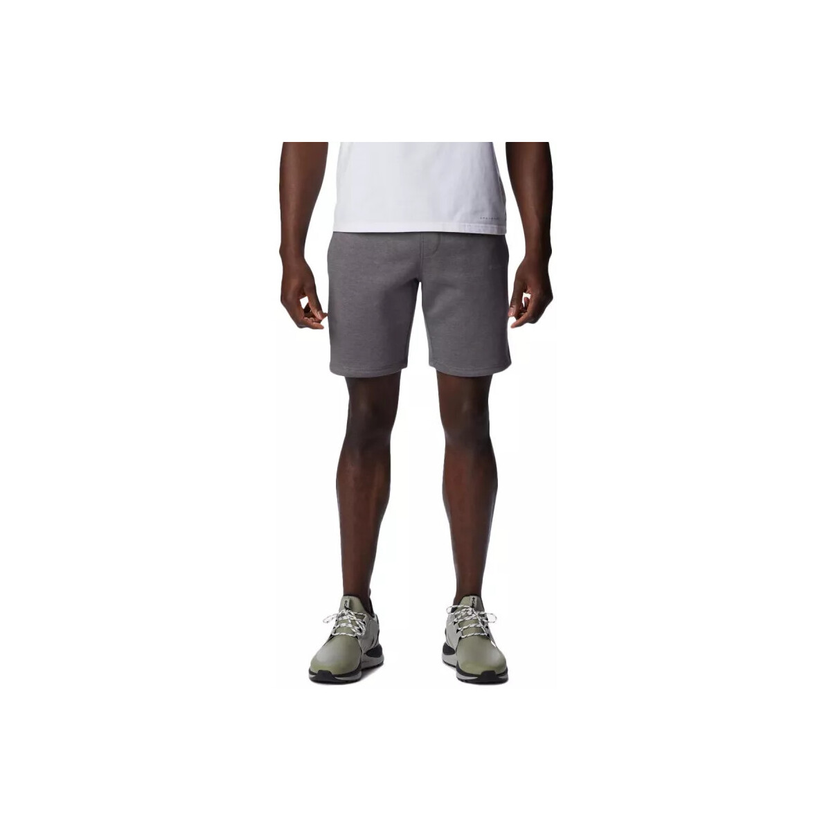 Vêtements Homme Shorts / Bermudas Columbia CSC BASIC LOGO Gris