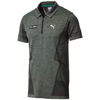 Vêtements Homme T-shirts & Polos Puma MERCEDES AMG PETRONAS Vert