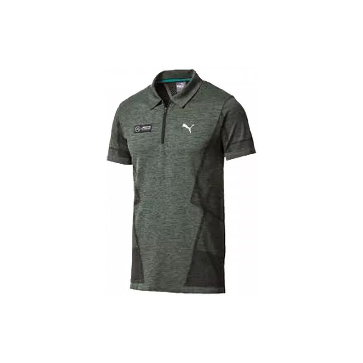Vêtements Homme T-shirts & Polos Puma MERCEDES AMG PETRONAS Vert