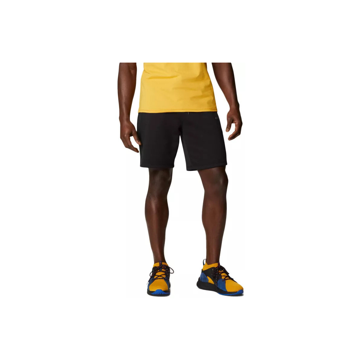 Vêtements Homme Shorts / Bermudas Columbia CSC BASIC LOGO Noir