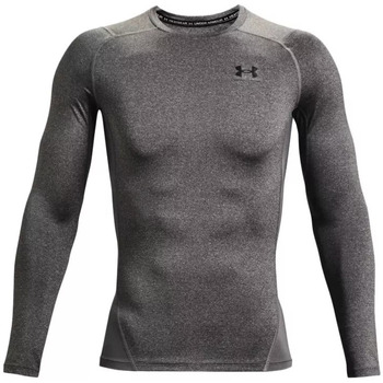 Vêtements Homme T-shirts & Polos Under Armour Hoodie Heatgear LS Gris