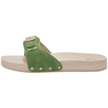 Chaussures Femme Save The Duck Scholl PESCURA FLAT Suede Vert
