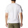Vêtements Homme T-shirts & Polos Columbia GRAPHIC Blanc