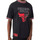 Vêtements Homme Short sleeved sponge polo shirt New-Era Chicago Bulls NBA Team Logo Noir