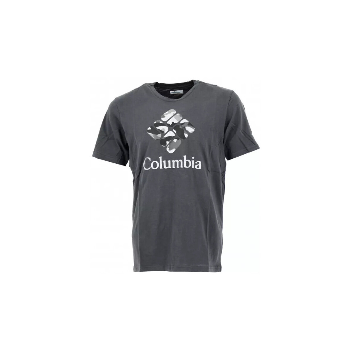 Vêtements Homme T-shirts & Polos Columbia RAPID RIDGE Gris