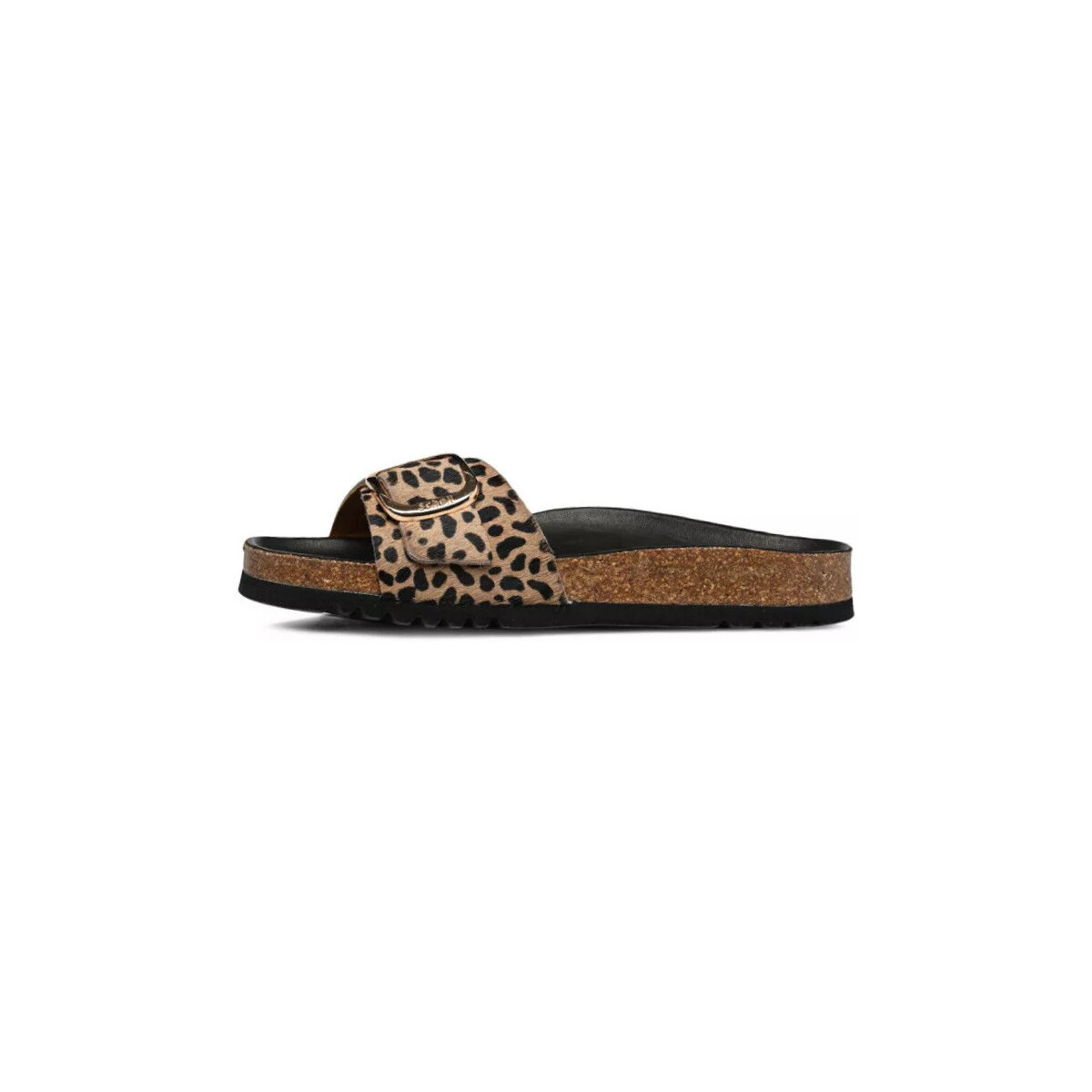 Chaussures Femme Sandales et Nu-pieds Scholl KATHLEEN Printed Leopard LEATHER Marron