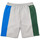 Vêtements Homme Shorts / Bermudas Lacoste Short Gris