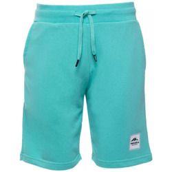 Vêtements Homme Shorts / Bermudas Helvetica CURRY Vert
