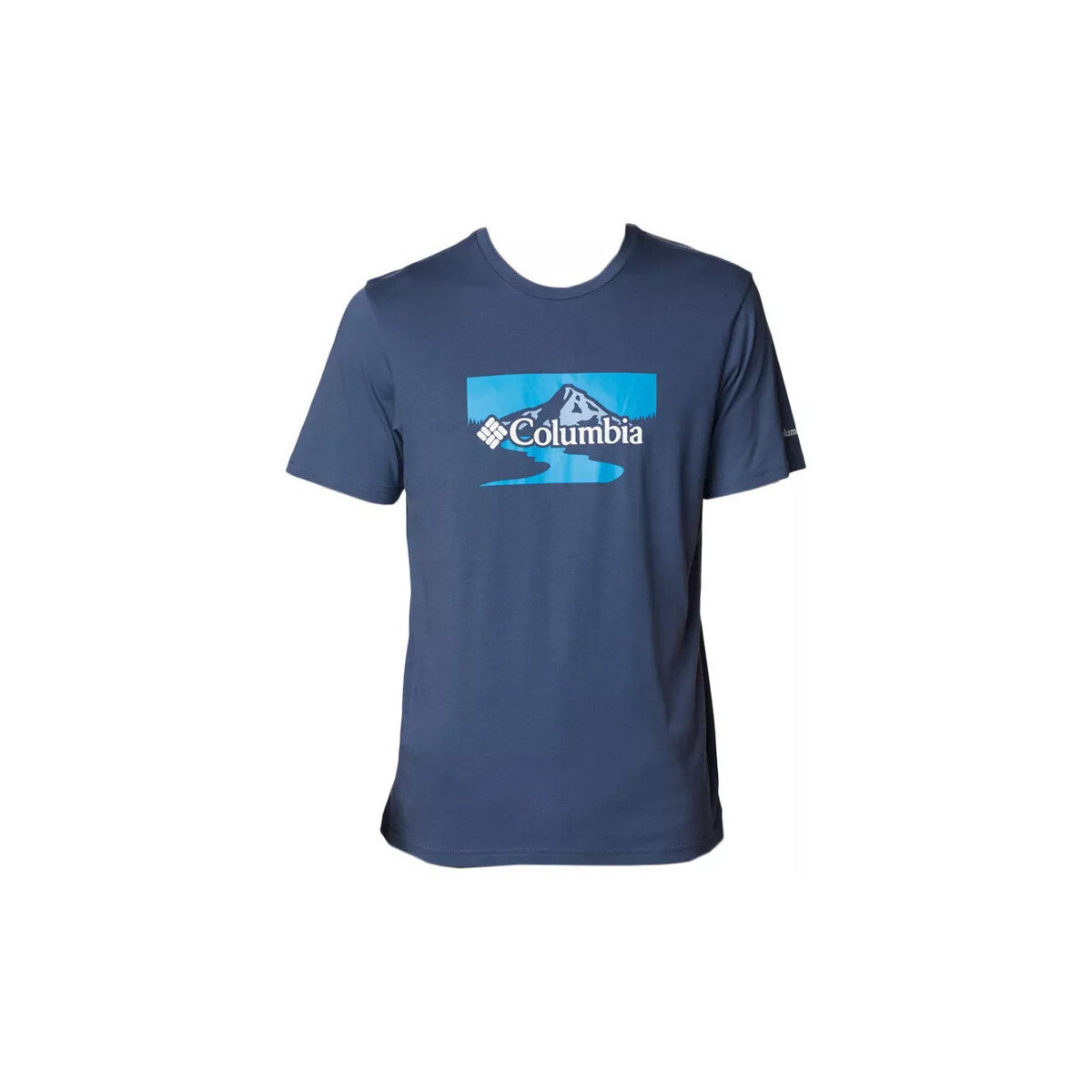 Vêtements Homme T-shirts & Polos Columbia GRAPHIC PATH LAKE II Bleu
