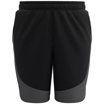 Vêtements Homme Shorts / Bermudas Under item Armour HIT WOVEN COLORBLOCK STS Noir