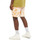 Vêtements Homme Shorts / Bermudas Dickies SEATAC CELADON Marron