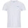 Vêtements Homme T-shirts & Polos Columbia TEE SHIRT  BACK GRAPHIC RAPID RIDGE Blanc