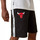 Vêtements Homme Shorts / Bermudas New-Era NBA TAPING Chicago Bulls Noir