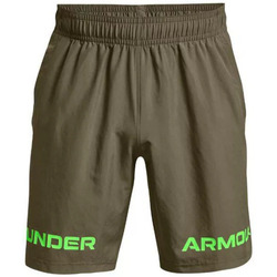 Vêtements Homme Shorts / Bermudas Under Armour WOVEN GRAPHIC Vert